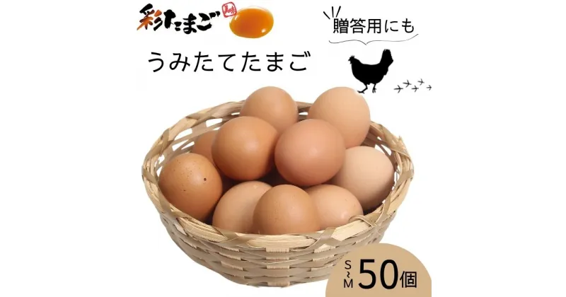 【ふるさと納税】 彩たまご うみたてたまご50個入り 化粧箱 80サイズ | 埼玉県 久喜市 養鶏場直送 新鮮 卵 たまご タマゴ 玉子 生卵 鶏卵 彩 国産 産みたて 箱入り