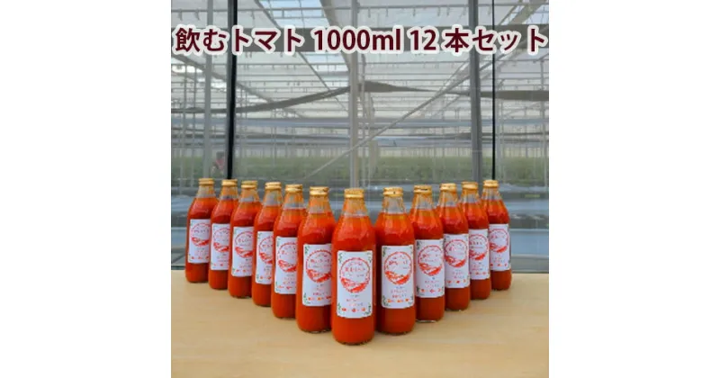 【ふるさと納税】まるまる赤トマト100%使用 完熟トマトジュース 1000ml×12本セット【トマト とまと トマトジュース わけあり 規格外トマト 完熟トマト 丸搾り ジュース 料理 イオン イオン農場】