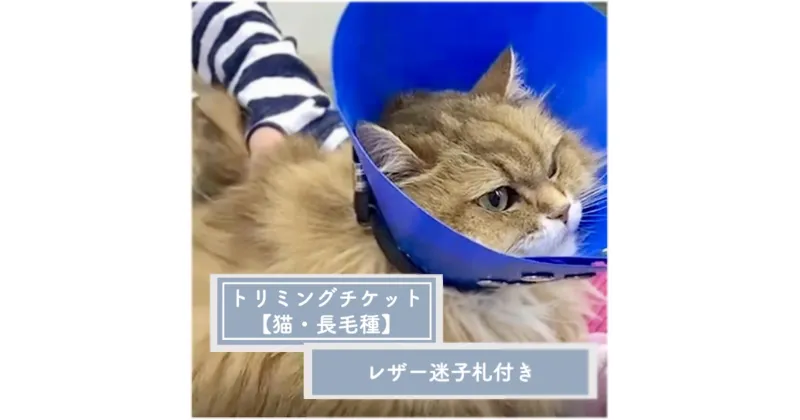 【ふるさと納税】 トリミングチケット ( 猫長毛種 ) レザー迷子札付き トリミングスタジオMOMO | 埼玉県 北本市 トリミングチケット 猫のトリミング ペットサービス ペットケア ペットサロン