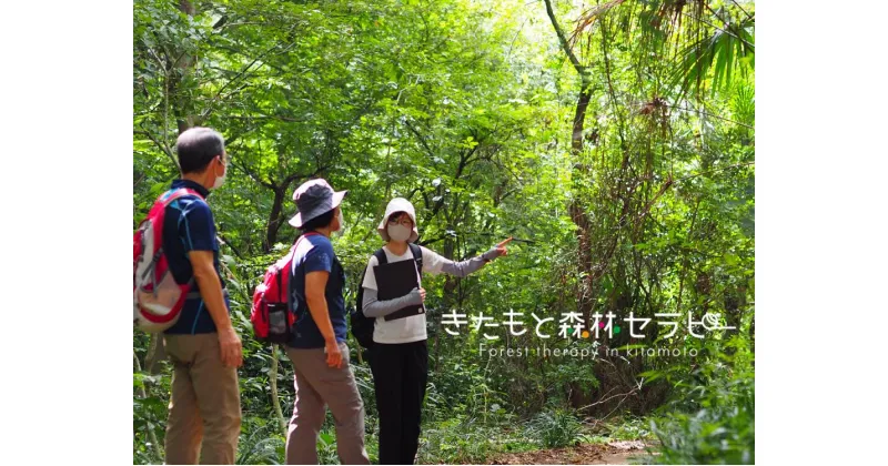 【ふるさと納税】 きたもと森林セラピー 体験コース ( 1～3名 ) 2時間コース 北本市観光協会 | 埼玉県 北本市 森林セラピー 自然療法 フォレストセラピー 自然環境 ストレス解消 心の健康 リラクゼーション 自然治癒力 自然の力