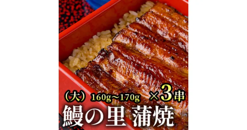 【ふるさと納税】鰻の里 蒲焼（大）　 日本食 和食 秘伝タレ 新鮮 ふっくら おかず 一品料理 お酒のあて つまみ