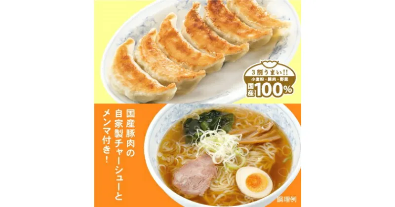 【ふるさと納税】冷凍生餃子とラーメン10人前セット　ぎょうざの満洲【配送不可地域：離島】【1238198】