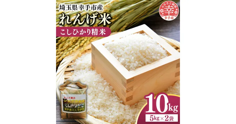 【ふるさと納税】レンゲ米　こしひかり 精米 5kg×2袋 – コシヒカリ 白米 10kg 5kgずつ 2袋 レンゲ農法 れんげ農法 栽培 埼玉県 幸手市 幸手市産