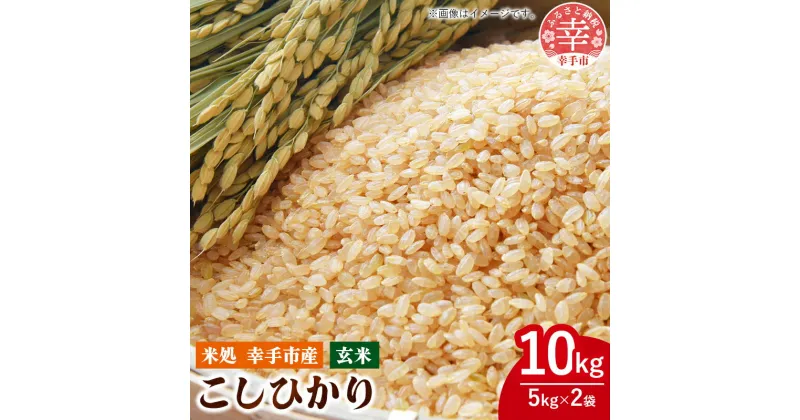 【ふるさと納税】令和6年幸手産 こしひかり【玄米】5kg×2袋 – コシヒカリ 玄米 10kg 令和6年産 埼玉県 幸手市 幸手市産【価格改定】