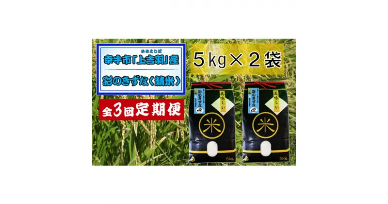 【ふるさと納税】【令和6年産米】食味Aランク継続中の銘柄 彩のきずな 精米10kg【定期便3ヶ月】全3回お届け