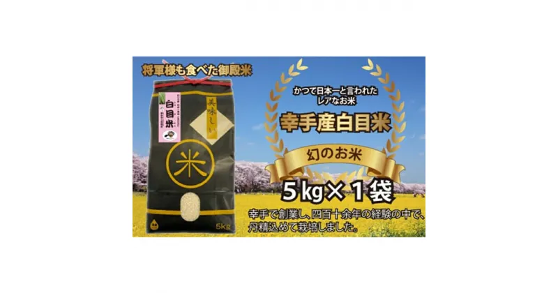 【ふるさと納税】【令和6年産米】幻のお米 日本一美味 と言われた 白目米 5kg