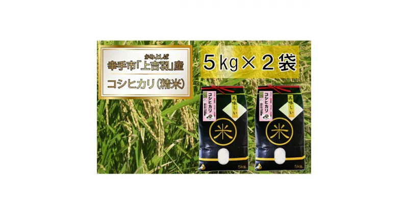 【ふるさと納税】【令和6年産米】ハッピー(幸手市)でラッキー(上吉羽)なお米 コシヒカリ精米10kg