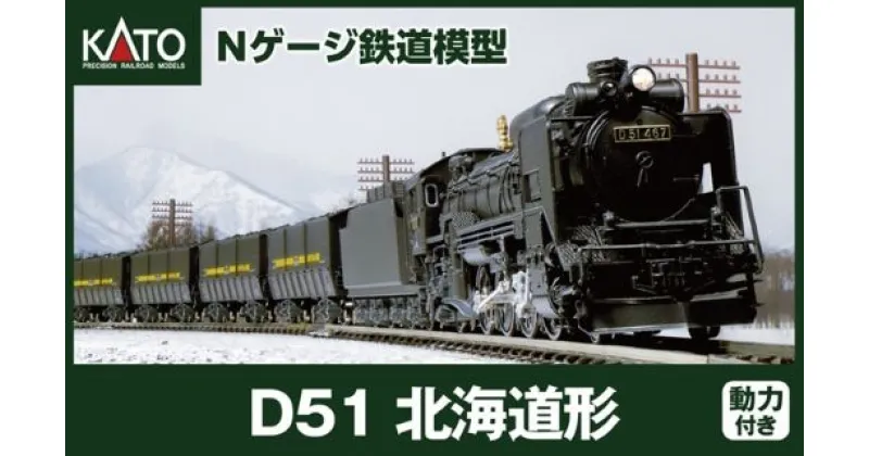 【ふるさと納税】J016-24【Nゲージ】D51運炭列車