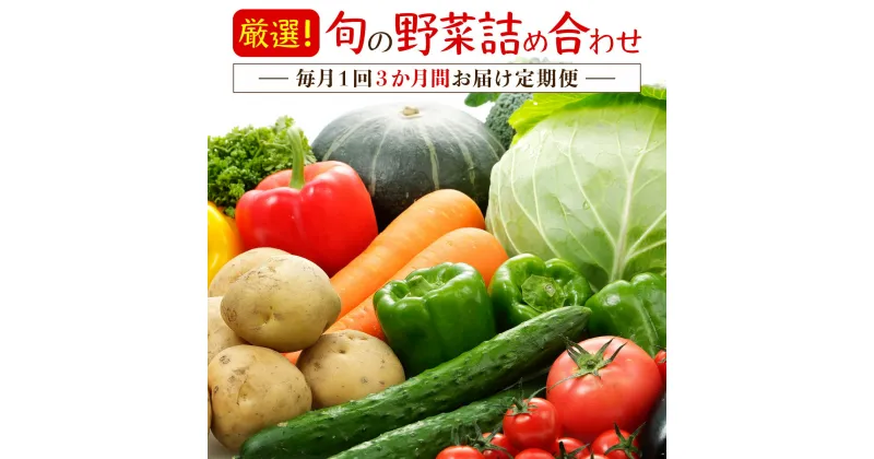 【ふるさと納税】厳選・「おおばん市場」旬の野菜詰め合わせ　毎月1回3か月間お届け定期便　【11246-0171】