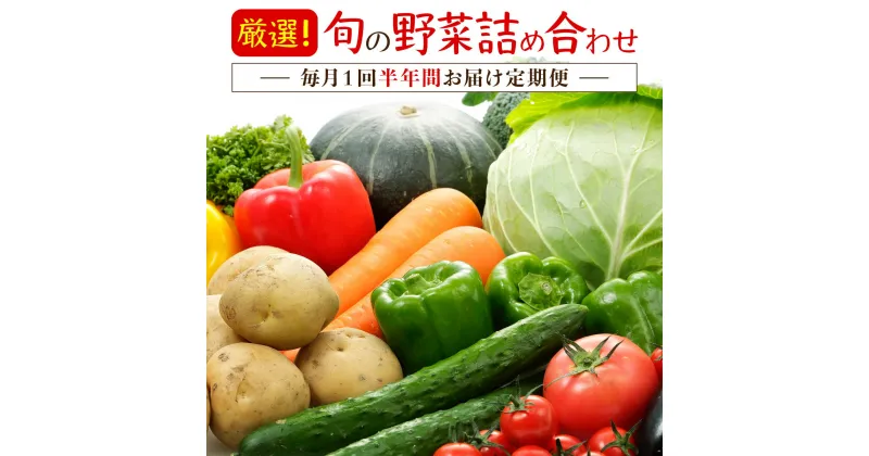 【ふるさと納税】厳選・「おおばん市場」旬の野菜詰め合わせ　毎月1回半年間お届け定期便　【11246-0172】