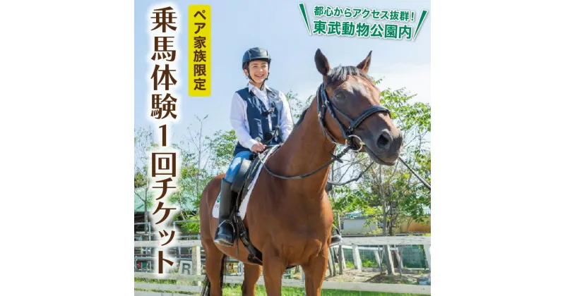 【ふるさと納税】ペア家族限定！乗馬体験1回コース(2名様分)東武動物公園内 東武乗馬クラブ＆クレイン初心者 ビジター 大人 子供 シニア レッスン アウトドア スポーツ 日帰り旅行 レジャー チケット 招待券 埼玉県 白岡市 送料無料【11246-0205】