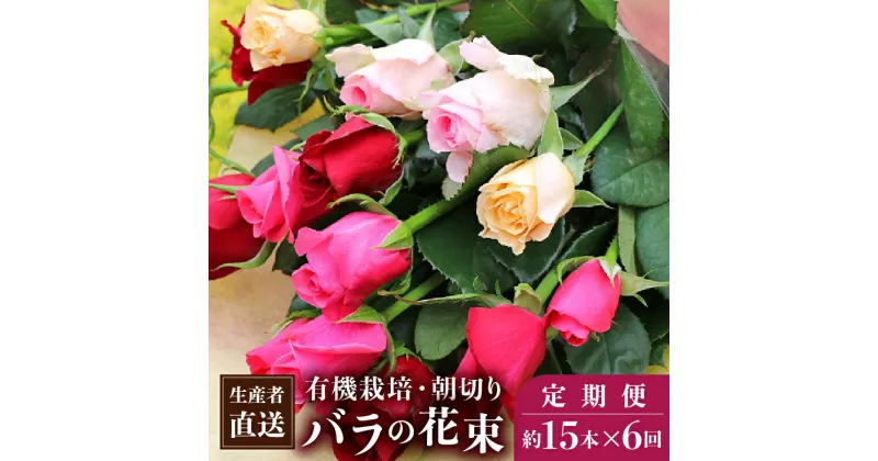 【ふるさと納税】【約15本×6カ月】生産者直送　有機栽培で育った朝切りバラの花束(赤・ピンク・黄色の薔薇ミックス) 花の定期便小山農園 埼玉県 白岡市 送料無料　【11246-0077】