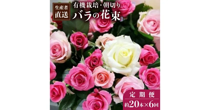 【ふるさと納税】【20本×6カ月】生産者直送　有機栽培で育った朝切りバラの花束(赤・ピンク・黄色の薔薇ミックス) 花の定期便 小山農園 埼玉県 白岡市 送料無料【11246-0076】