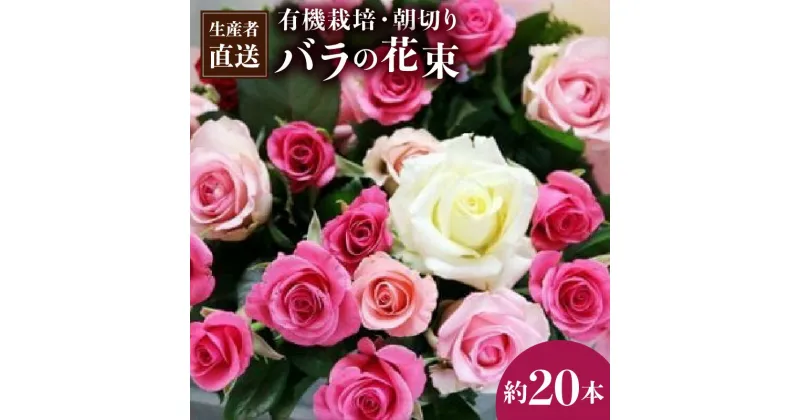 【ふるさと納税】【約20本】生産者直送！有機栽培で育った朝切りバラの花束(赤・ピンク・黄色の薔薇ミックス) 小山農園 埼玉県 白岡市 送料無料【11246-0045】