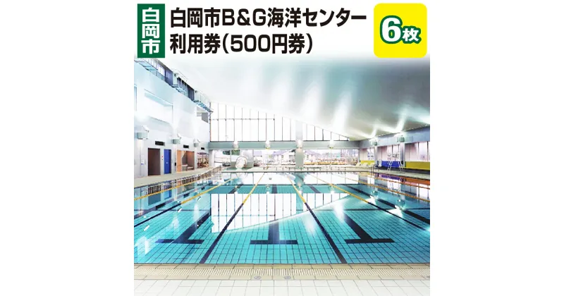 【ふるさと納税】白岡市B&G海洋センター利用券（500円券）6枚　【11246-0272】