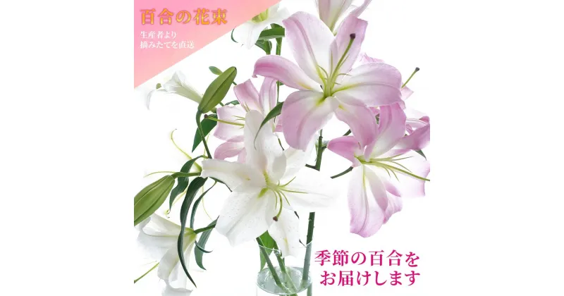 【ふるさと納税】 生産者直送 百合の花束 5本～7本 ユリだけのボリュームたっぷり花束 オリエンタル系の百合入り 摘みたてつぼみの状態で発送するから咲いていく過程も楽しめる 西川ゆり園