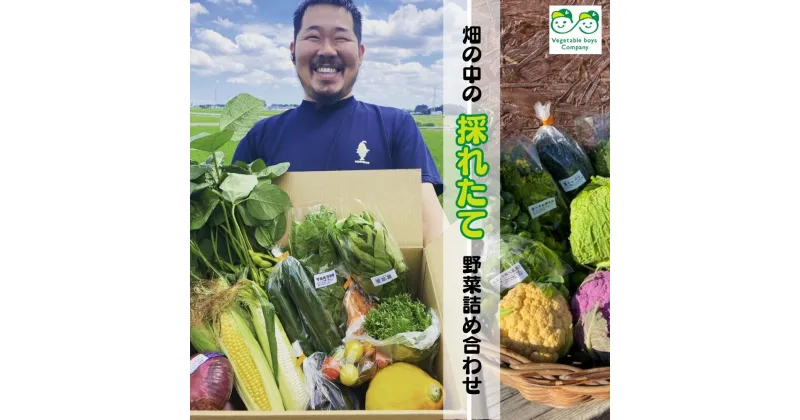 【ふるさと納税】畑の中の採れたて野菜詰め合わせセット ベジボーイの新鮮野菜セット