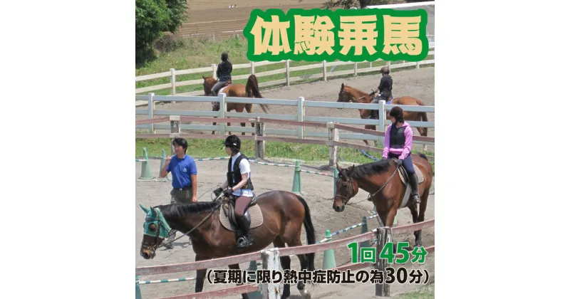 【ふるさと納税】体験乗馬　メンバー体験コース