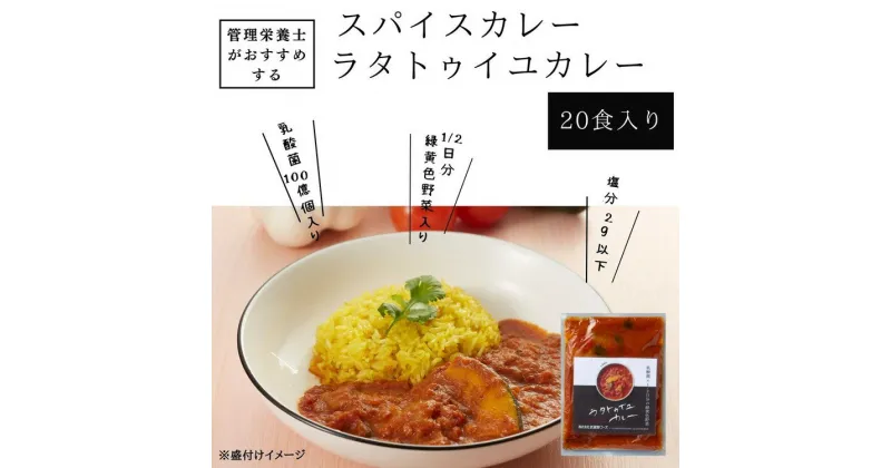 【ふるさと納税】管理栄養士がおすすめするスパイスカレー ラタトゥイユカレー 20食入り　※離島への配送不可