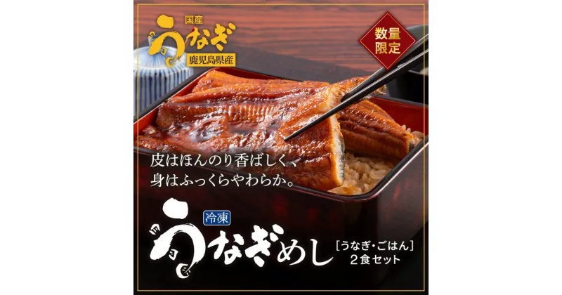 【ふるさと納税】鹿児島県産うなぎ使用 冷凍うなぎめし 2食セット ※離島への配送不可