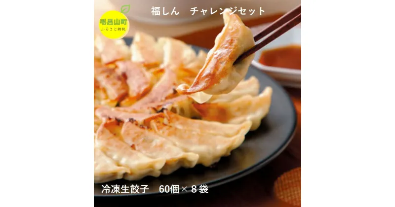 【ふるさと納税】【中華チェーン福しん】 おうちで福しん餃子チャレンジセット（餃子480個） 福しん 餃子 ぎょうざ ギョウザ 冷凍餃子 中華 おかず 埼玉県 毛呂山町 ふるさと納税