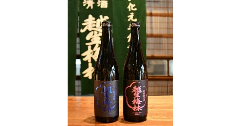 【ふるさと納税】越生梅林 純米吟醸・特別純米酒　720ml 2本セット【1419116】