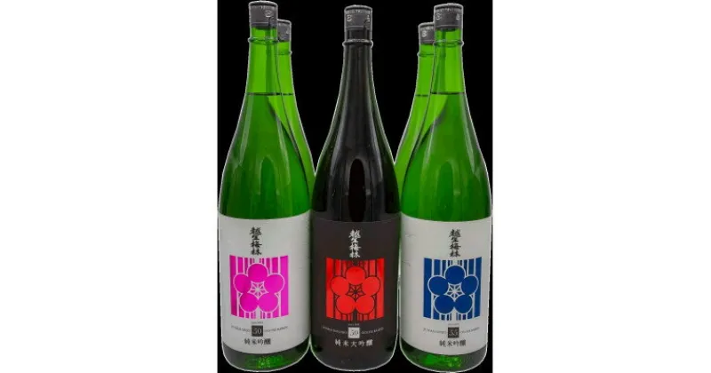 【ふるさと納税】越生梅林 贅沢飲み比べ 1,800ml 6本セット【1468339】