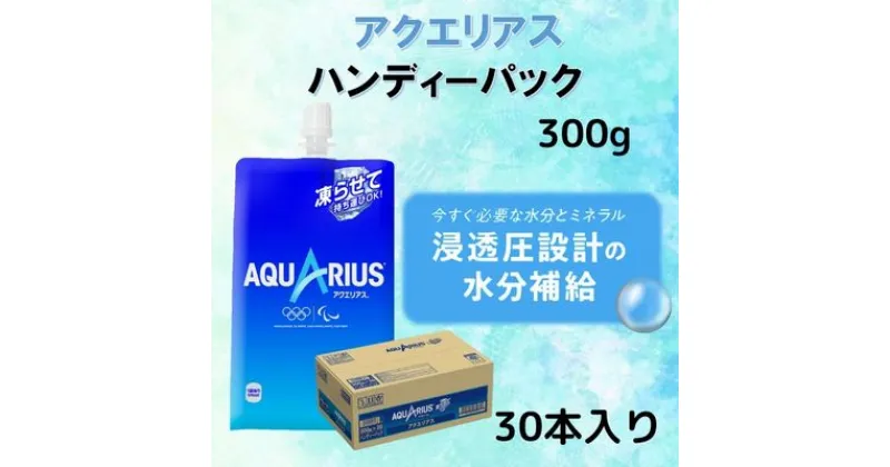 【ふるさと納税】アクエリアス 300gハンディーパック(30本入り)　飲料・ドリンク・スポーツ飲料