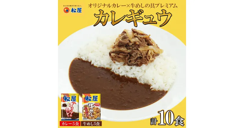 【ふるさと納税】松屋 カレー 牛めし 10個 セット 冷凍 牛丼 カレー　 詰め合わせ 食品 冷凍食品 惣菜 t1