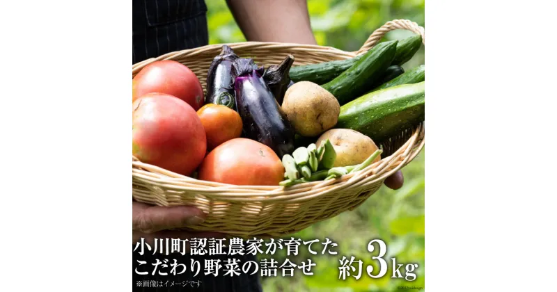 【ふるさと納税】No.135 OGAWA’N 野菜 セット ＜ JA埼玉中央 ＞【 埼玉県 小川町 】 農産物 やさい 詰め合わせ 旬