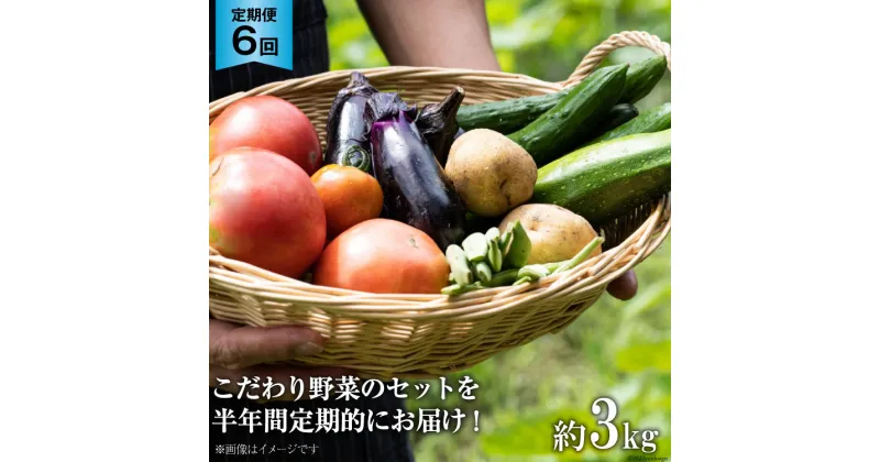 【ふるさと納税】No.137 OGAWA’N 野菜 セット の 定期便 6ヶ月 連続 ＜ JA埼玉中央 ＞【 埼玉県 小川町 】 野菜セット やさい 季節野菜 詰め合わせ 旬 農産物