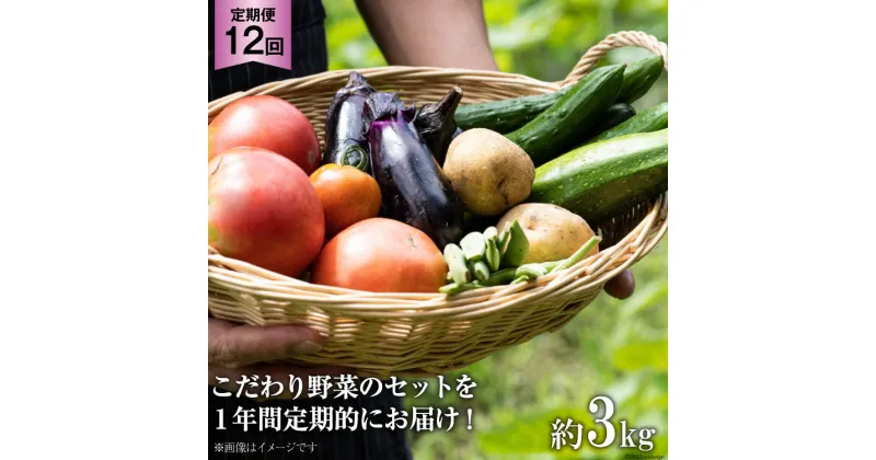 【ふるさと納税】No.138 OGAWA’N 野菜 セット の 定期便 12回 　＜ JA埼玉中央 ＞【 埼玉県 小川町 】 野菜セット やさい 季節野菜 詰め合わせ 旬 農産物