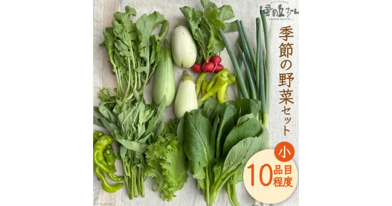 【ふるさと納税】野菜セット 10種 詰め合わせ [風の丘ファーム 埼玉県 小川町 205] 野菜 やさい