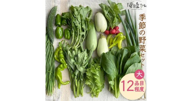 【ふるさと納税】季節の野菜セット大 [ 風の丘ファーム 埼玉県 小川町 206] 野菜 やさい 季節の野菜 野菜セット セット 詰め合わせ 旬 春 夏 秋 冬 季節