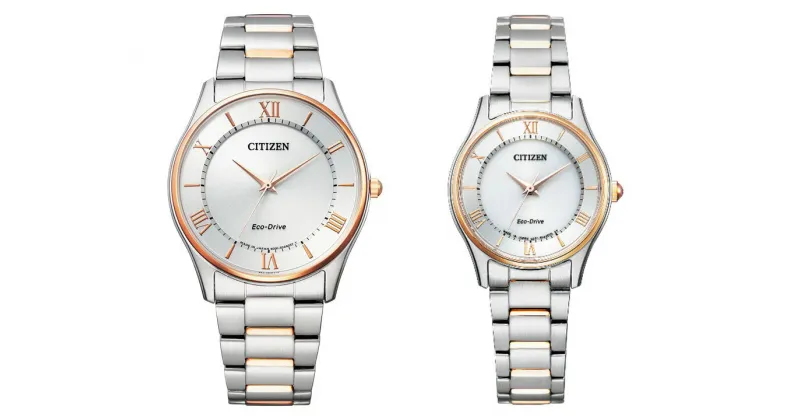 【ふるさと納税】【ペアウォッチ】CITIZEN 光発電 エコドライブ 時計シチズンコレクション　BJ6484-50A　EM0404-51A