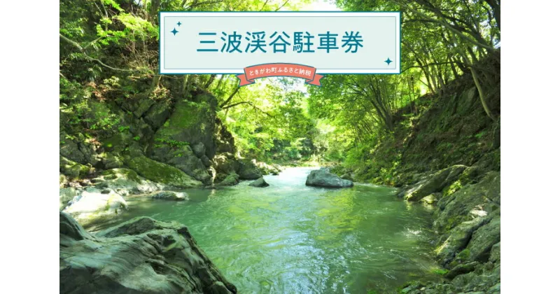 【ふるさと納税】三波渓谷駐車券