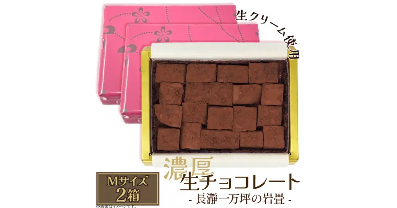 【ふるさと納税】生チョコレート 生クリーム カカオ 濃厚 とろける 急速冷凍 プレゼント ギフト 贈り物 名物 名産 送料無料 生チョコレート「長瀞一万坪の岩畳」Mサイズ（約133g×2箱入り）