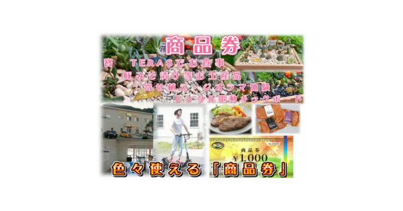 【ふるさと納税】秩父名物料理店「寳　TERAS」商品券3,000円分【お食事・お土産品・体験】にも利用できます【1203002】