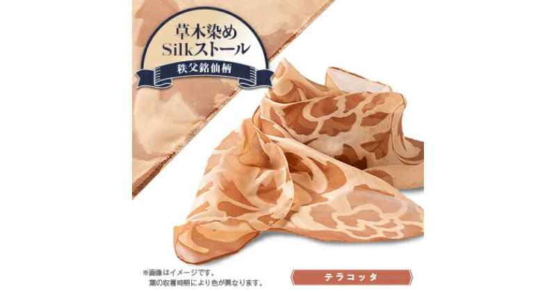 【ふるさと納税】草木染めSilkストール 《長瀞びわ染めテラコッタ》《秩父銘仙柄》【1255438】