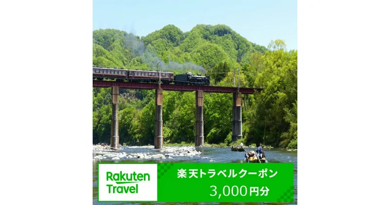 【ふるさと納税】埼玉県長瀞町の対象施設で使える楽天トラベルクーポン 寄付額10,000円