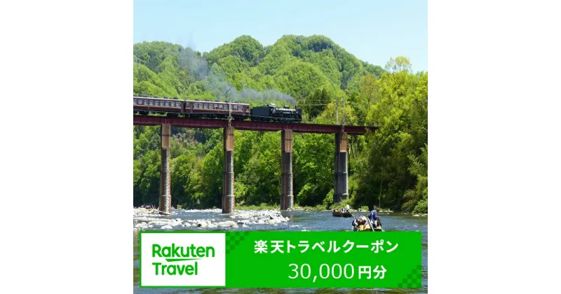 【ふるさと納税】埼玉県長瀞町の対象施設で使える楽天トラベルクーポン 寄付額100,000円