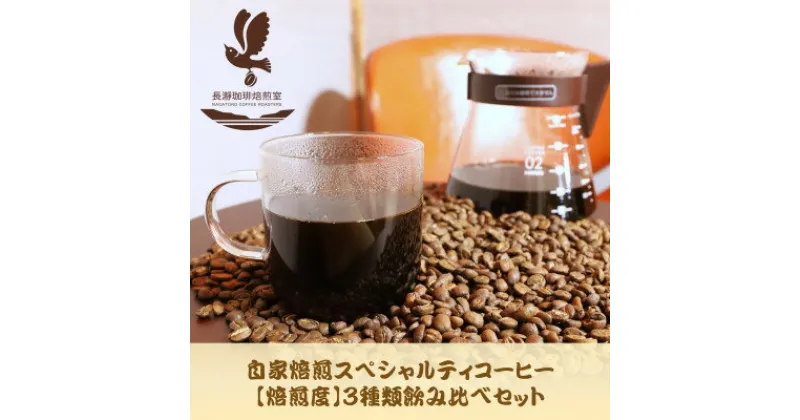 【ふるさと納税】自家焙煎スペシャルティコーヒー(豆)【焙煎度】3種飲み比べセット100g×3袋【1392608】