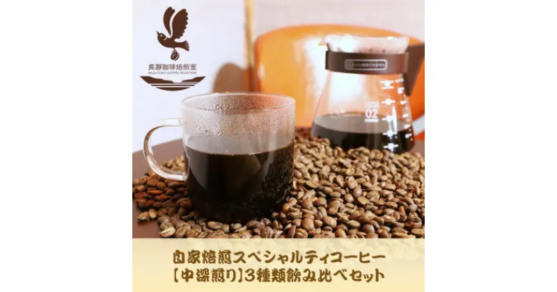 【ふるさと納税】自家焙煎スペシャルティコーヒー(豆)【中深煎り】3種飲み比べセット　100g×3袋【1407716】