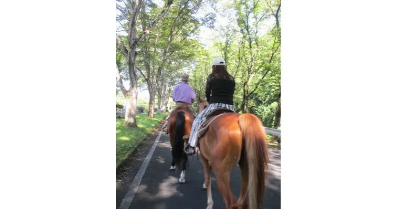 【ふるさと納税】公道での乗馬〜ちょっと道草ライド〜1名【1427727】