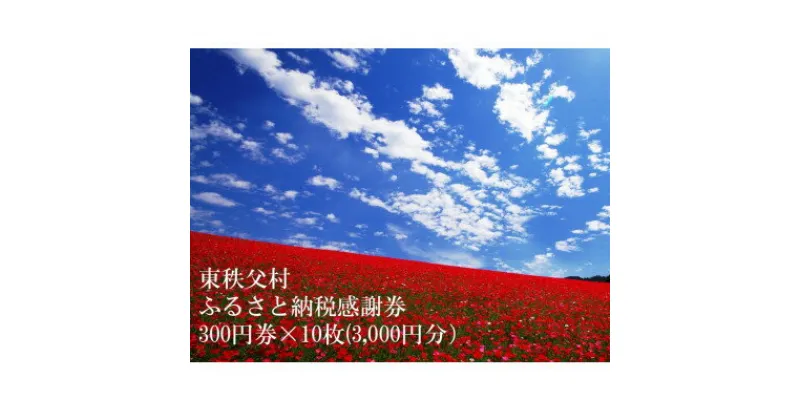 【ふるさと納税】東秩父村ふるさと納税感謝券3,000円分(300円券×10枚)【1303889】