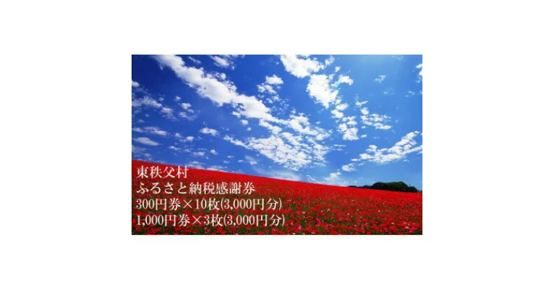 【ふるさと納税】東秩父村ふるさと納税感謝券6,000円分(1,000円券×3枚、300円券×10枚)【1303895】