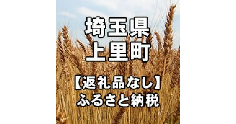 【ふるさと納税】埼玉県上里町への寄付（返礼品はありません）